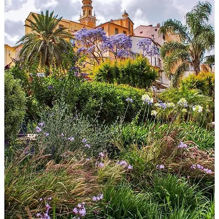 Les Violettes Appartement *