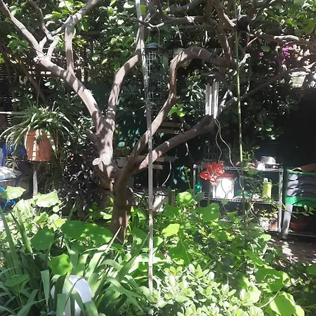 Les Violettes Apartamento *