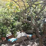 Les Violettes Apartman