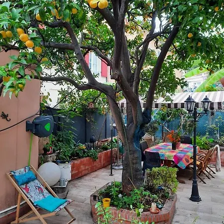 Les Violettes * 멍똥