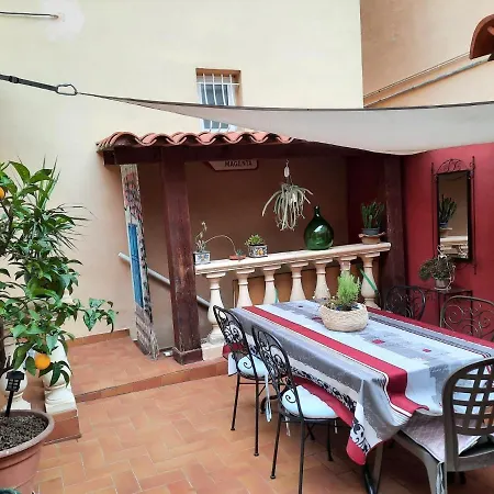 Les Violettes 멍똥