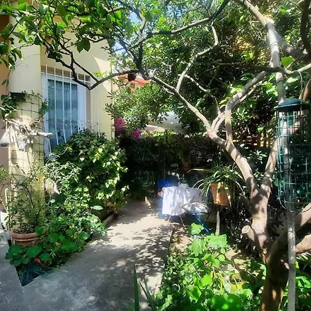 Les Violettes Apartment *