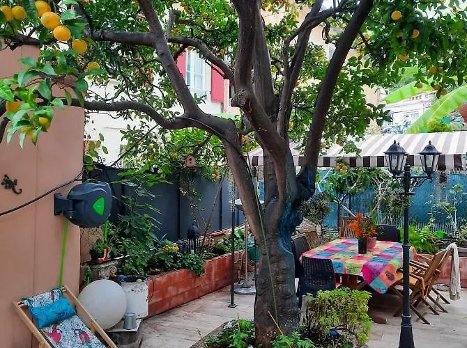 Les Violettes * Μεντόν