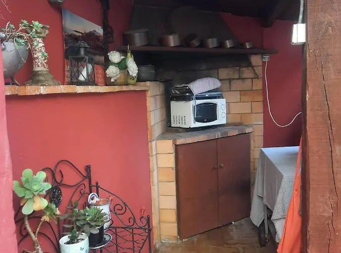 Les Violettes * Μεντόν