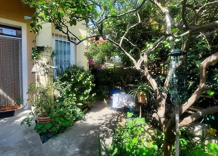 Les Violettes Διαμέρισμα *