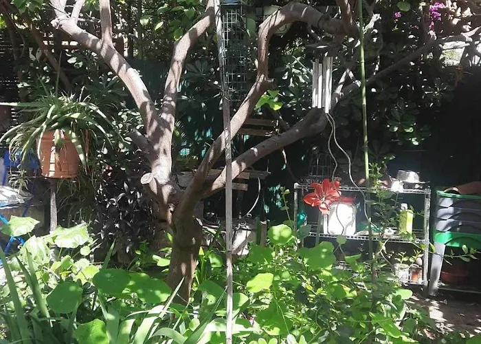 Les Violettes Διαμέρισμα *