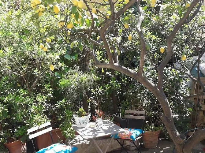 Les Violettes Διαμέρισμα